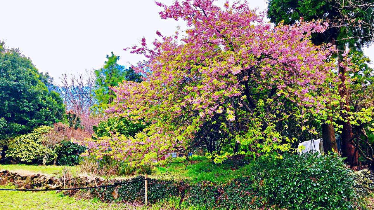 Forest Villa Olive Futo Dış mekan fotoğraf