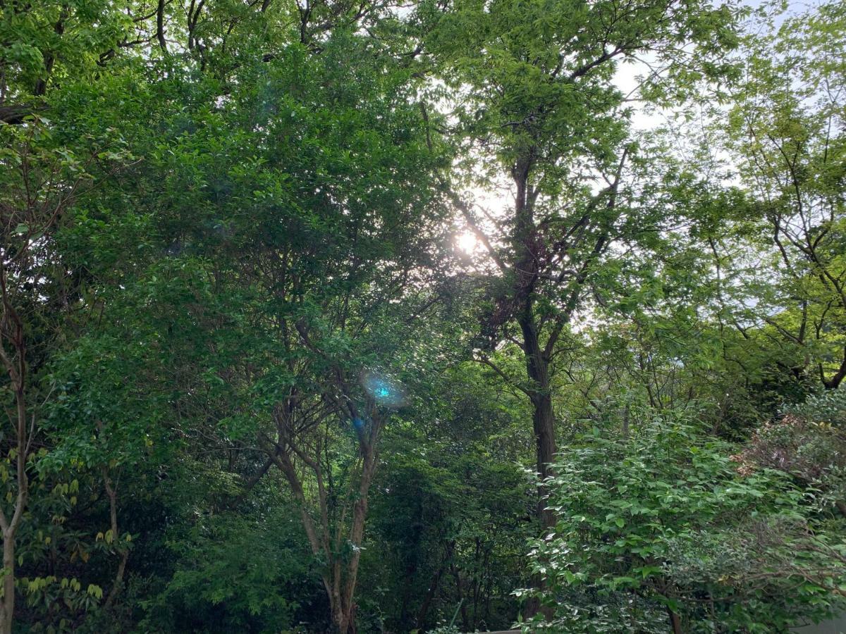 Forest Villa Olive Futo Dış mekan fotoğraf