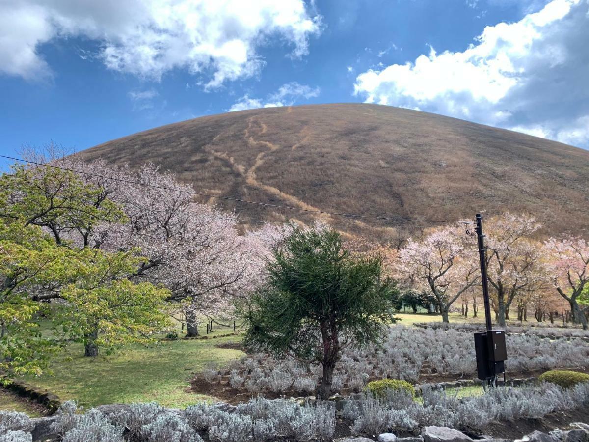 Forest Villa Olive Futo Dış mekan fotoğraf